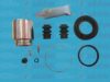 AUTOFREN SEINSA D41617C Repair Kit, brake caliper